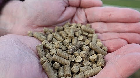 تصویر 4 از کود مرغی رشت مناسب خاک‌ های مرطوب